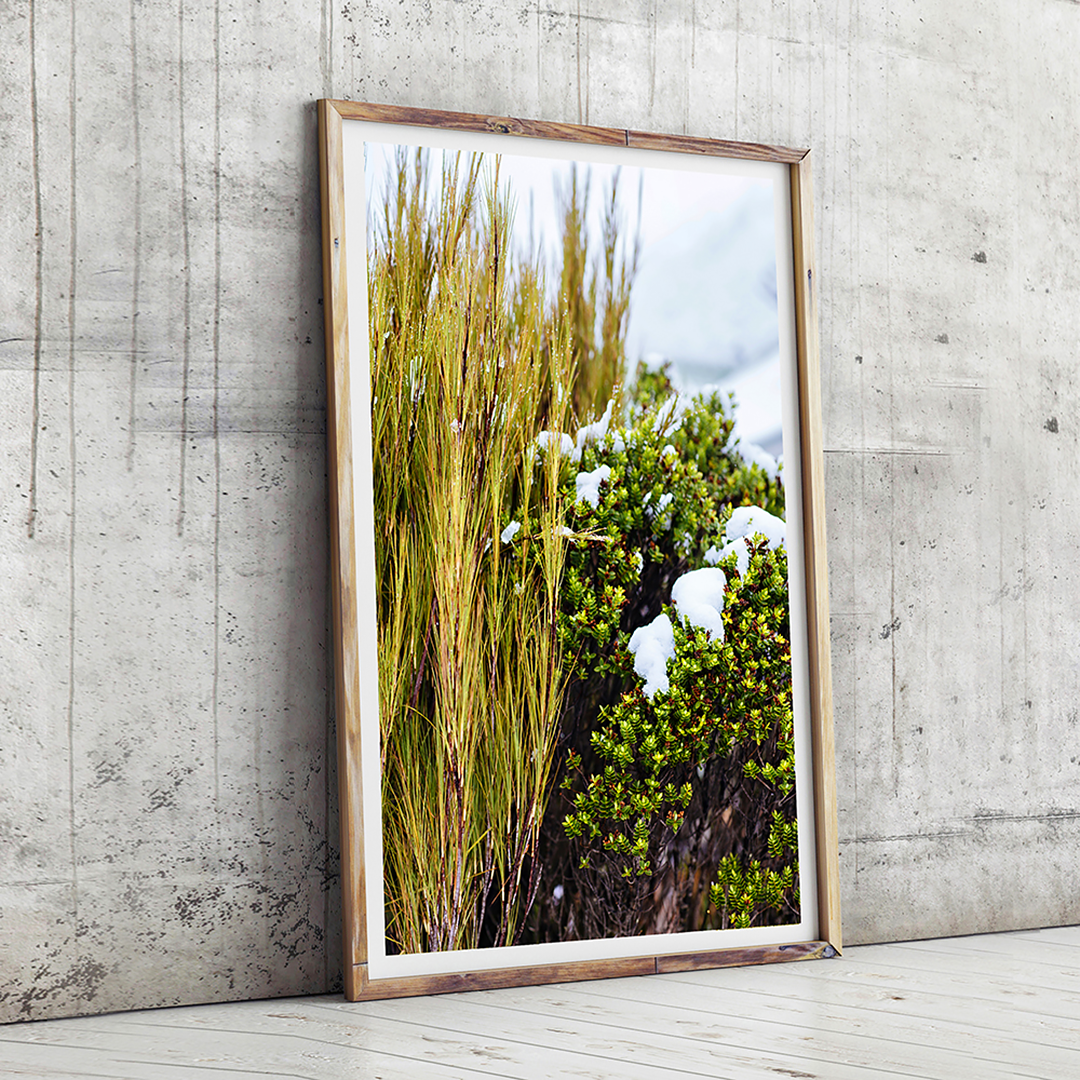Beach Print / Coastal Print / Coastal Interior