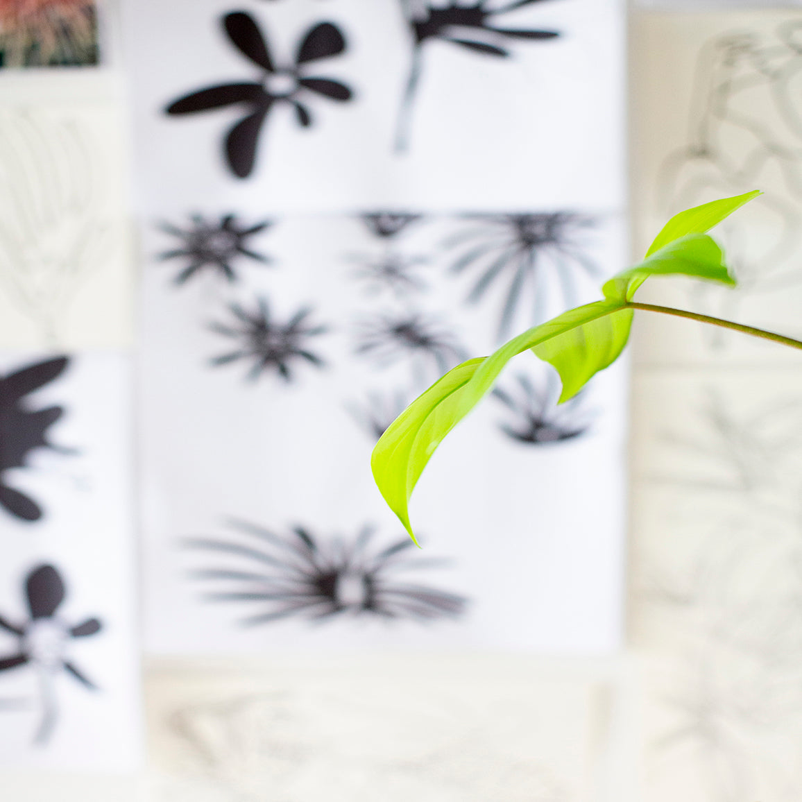 The creation of art, Brisbane artist