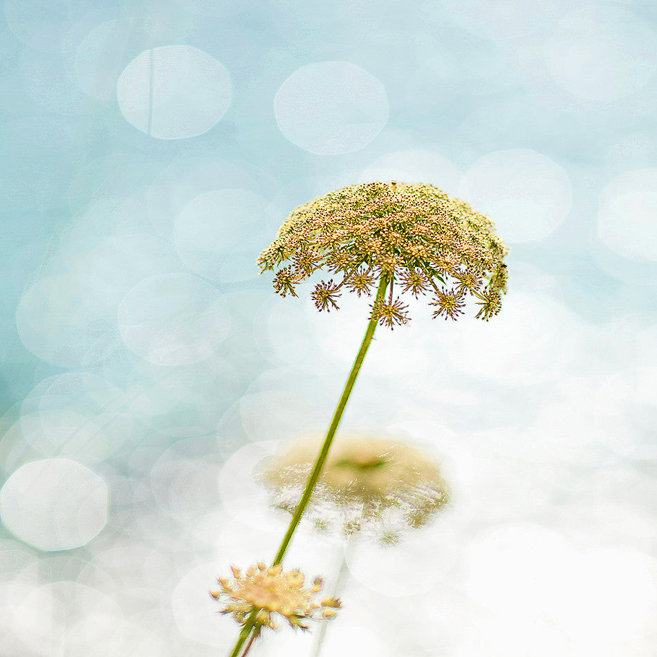 Beach Photo Print / Coastal homewares and decor / Brisbane / Australia