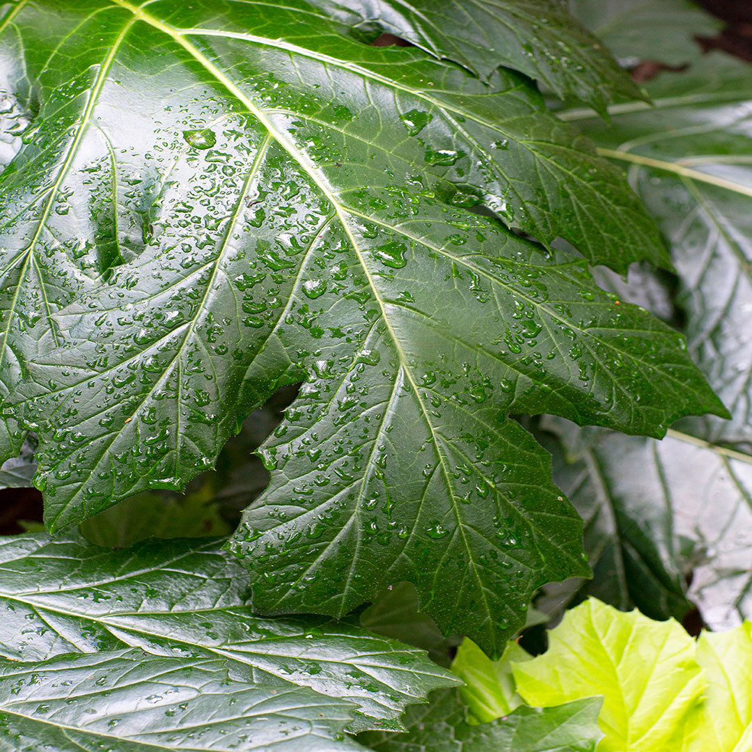 Colourful nature always inspiring