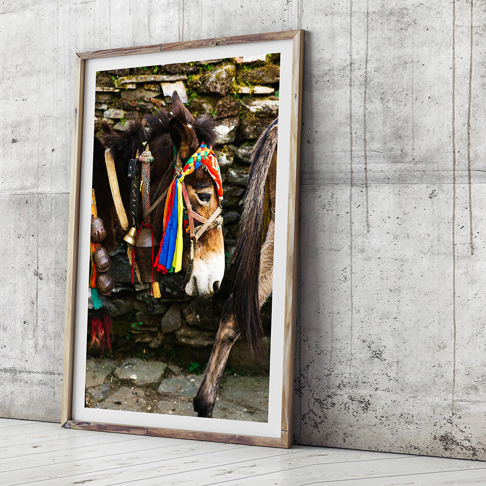 Nepal Travel Photography / Rustic Framed Art Prints / /Framed Art
