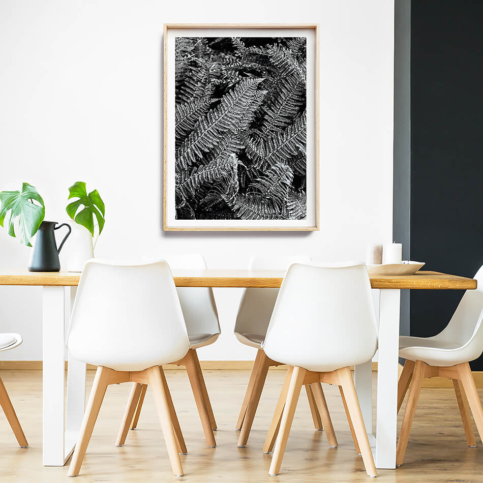 black and white interior black and white print leaves photo print abstract photo print of leaves and greenery photographic print of new zealand