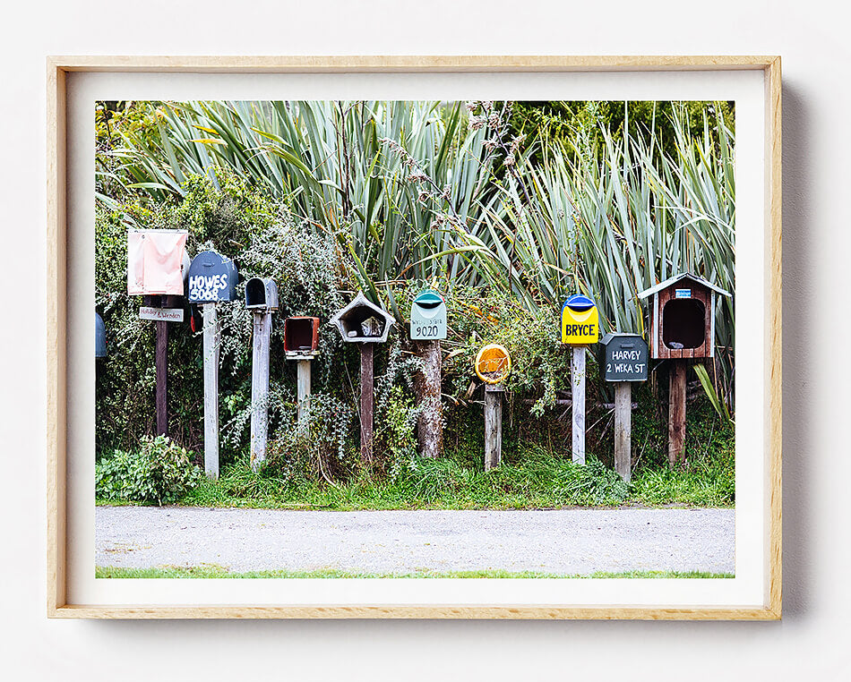 natural photo print new zealand photographic print new zealand travel photography