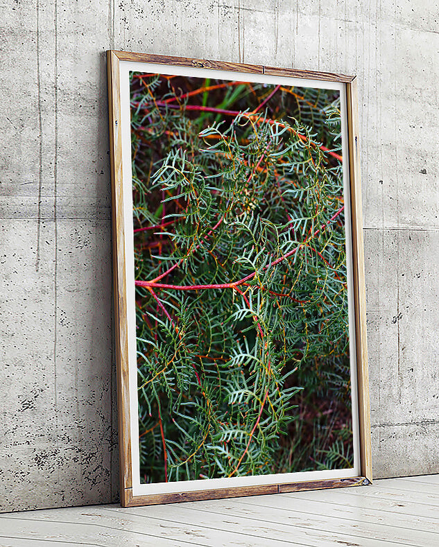 green interior wall art abstract leaves close up print of natural interior