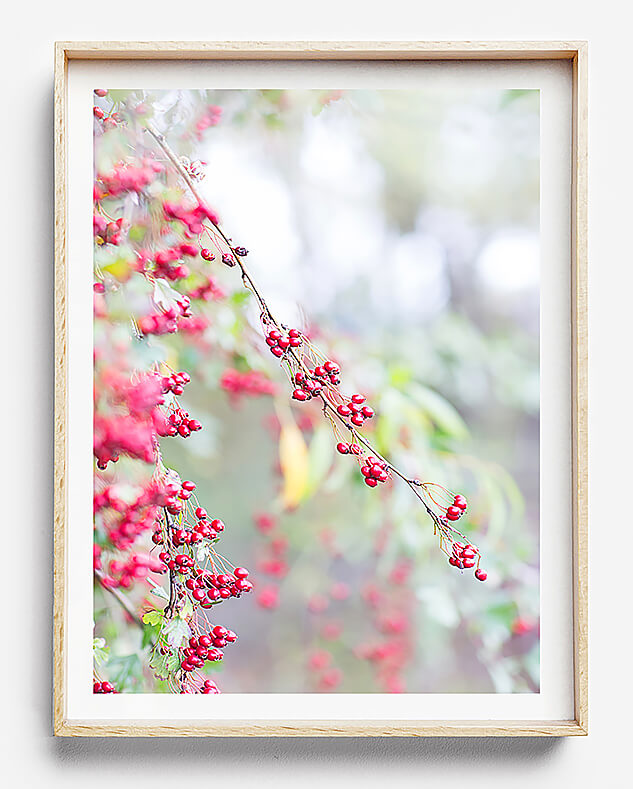 red interior wall art red photographic print natural interior new zealand plant natural interior art