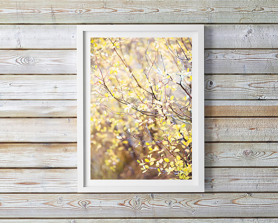 autumn print travel photographic print new zealand coastal home interior wall art coastal home print natural interior wall art natural print