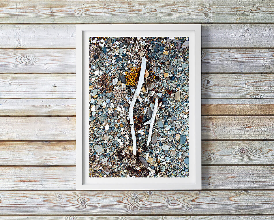 beach print beach interior shells print coastal interior print coastal print for wall