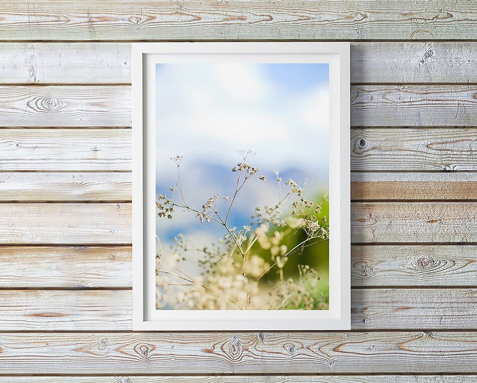 beach print coastal print natural print print for natural interior grass wall art natural tones print for wall new zealand photography