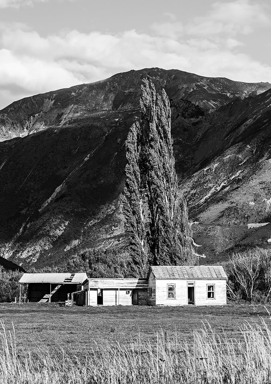 monochrome print black and white print of nature mountains in new zealand