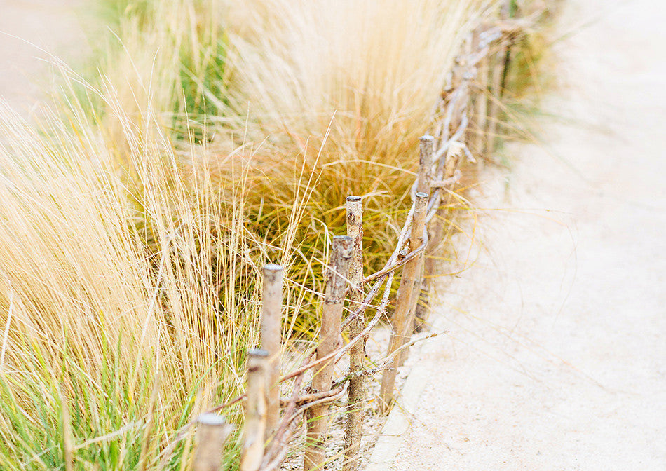 photographic artwork fine art print of beach print ssand dunes artwork print at cornwall england interior design limited edition print creative wedding photographer