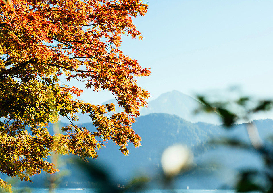 photographic artwork fine art print of summertime in switzerland photography artwork print photography print at mt rigi switzerland europe photography interior design limited edition print creative wedding photographer