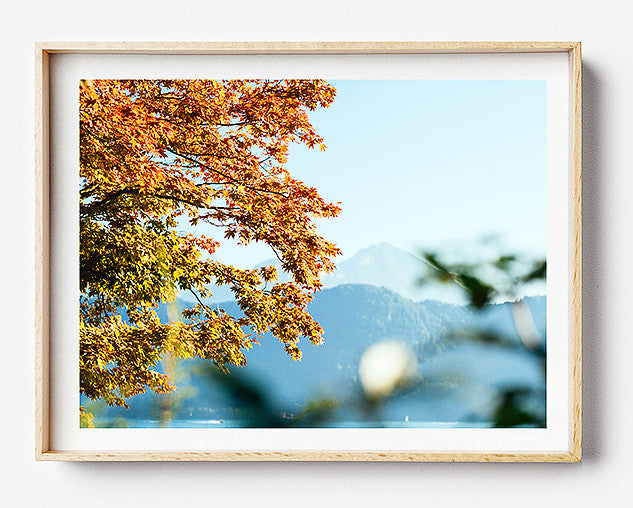 beach print summertime in switzerland limited edition fine art photography print was created in mt rigi switzerland europe artwork to purchase online for the home interior design documentary travel photographer photographic print art for walls brisbane photographic print shop brisbane photo wall art prints brisbane photographic prints for the home home decor wall art framed art prints brisbane