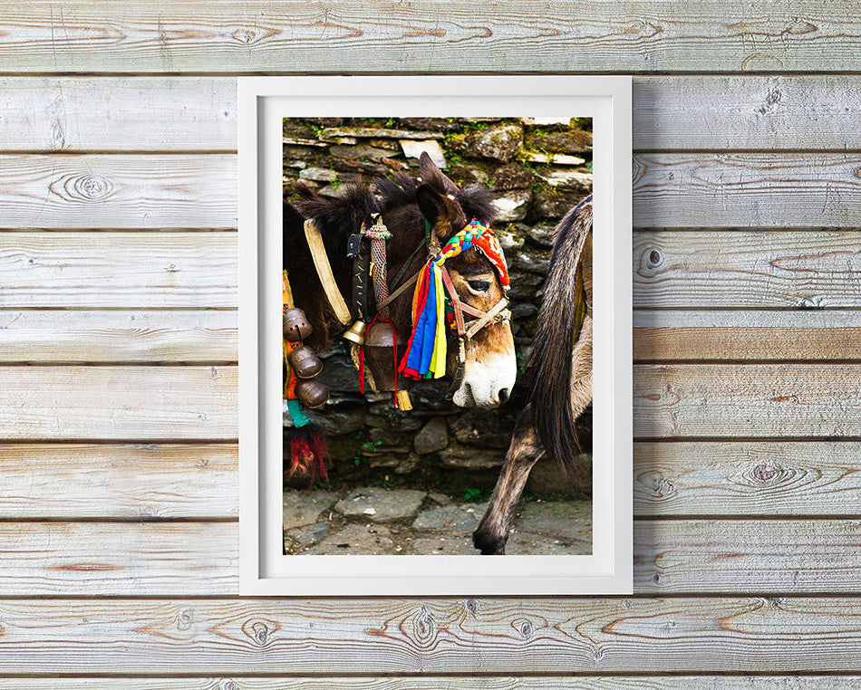 Photo art for wall fine art photographic print for home interior ikea ribba frame print travel photography of hiking in nepal colourful village artwork print in kathmandu pokhara nepal taken by a brisbane photographer australian print