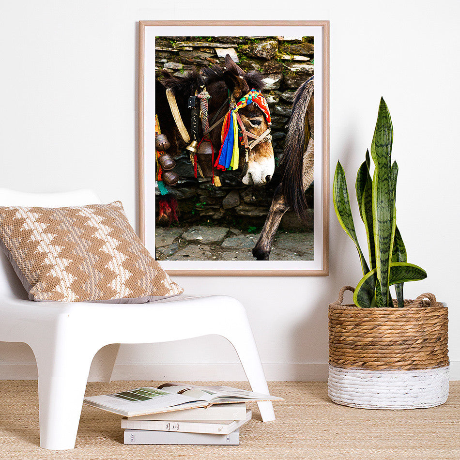 nepal photography photo print for wall nepalese artwork nepal asian home decor nepal homewares donkey